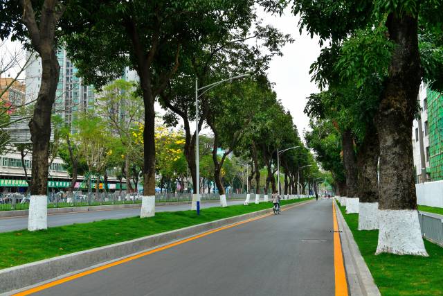 燕罗街道燕罗北街（规划二路-高田路）新建工程